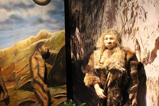 Centrum Neandertalczyka